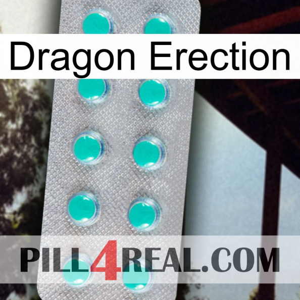 Dragon Erection 28.jpg